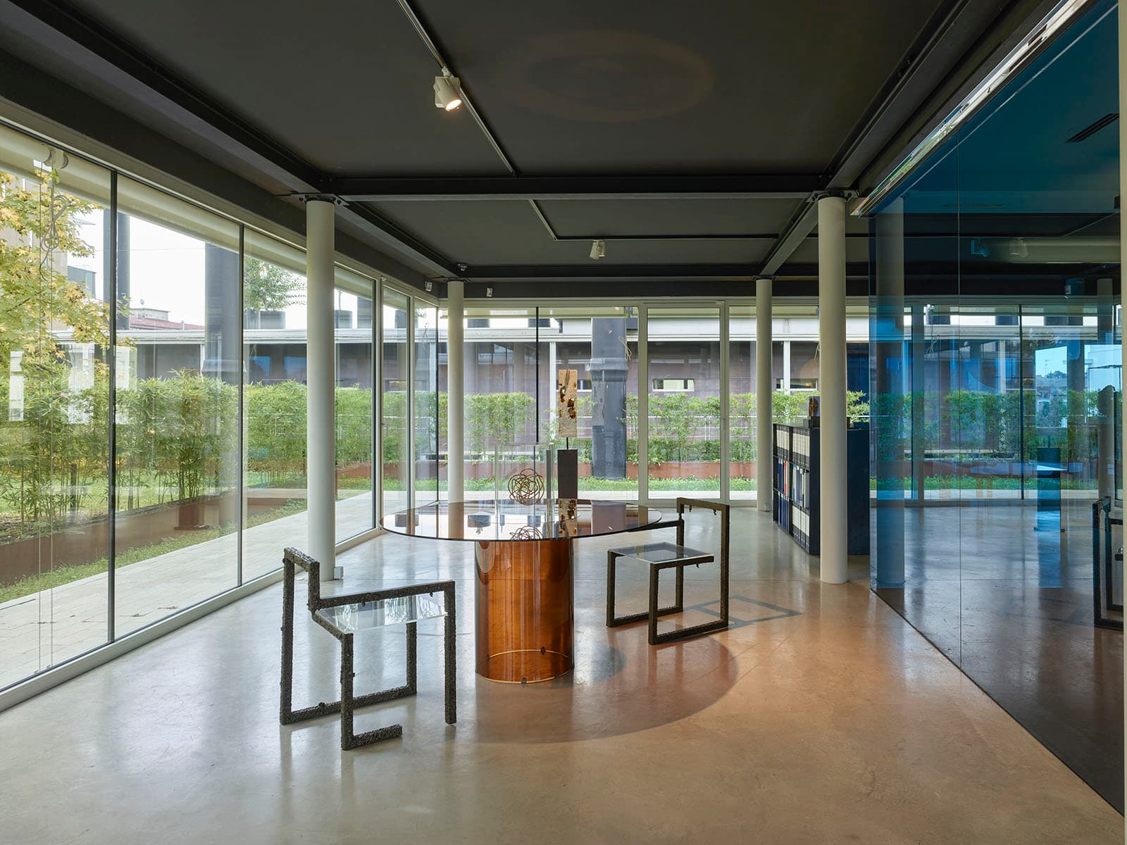 Giorgio Palù Office Pic